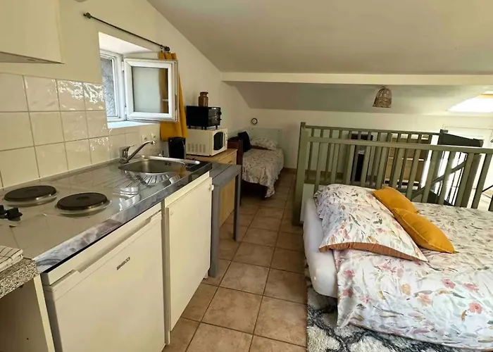 Face Au Canal Du Midi Διαμέρισμα